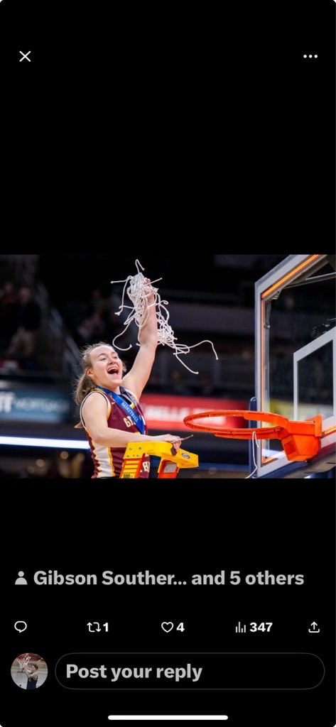 Marlin Academy Lightning tweet media