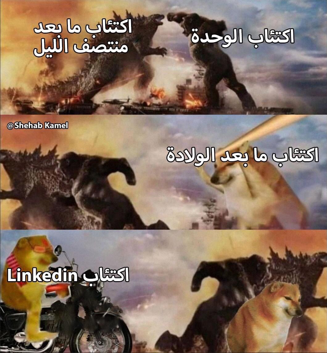 egymeme11's tweet photo. https://t.co/EA02zR7XXy
