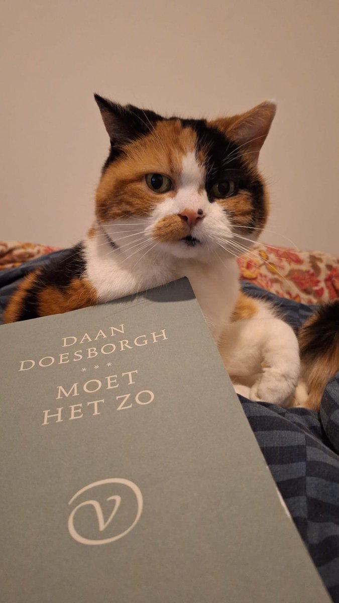 Tele2Nederland (@tele2nederland) on Twitter photo 