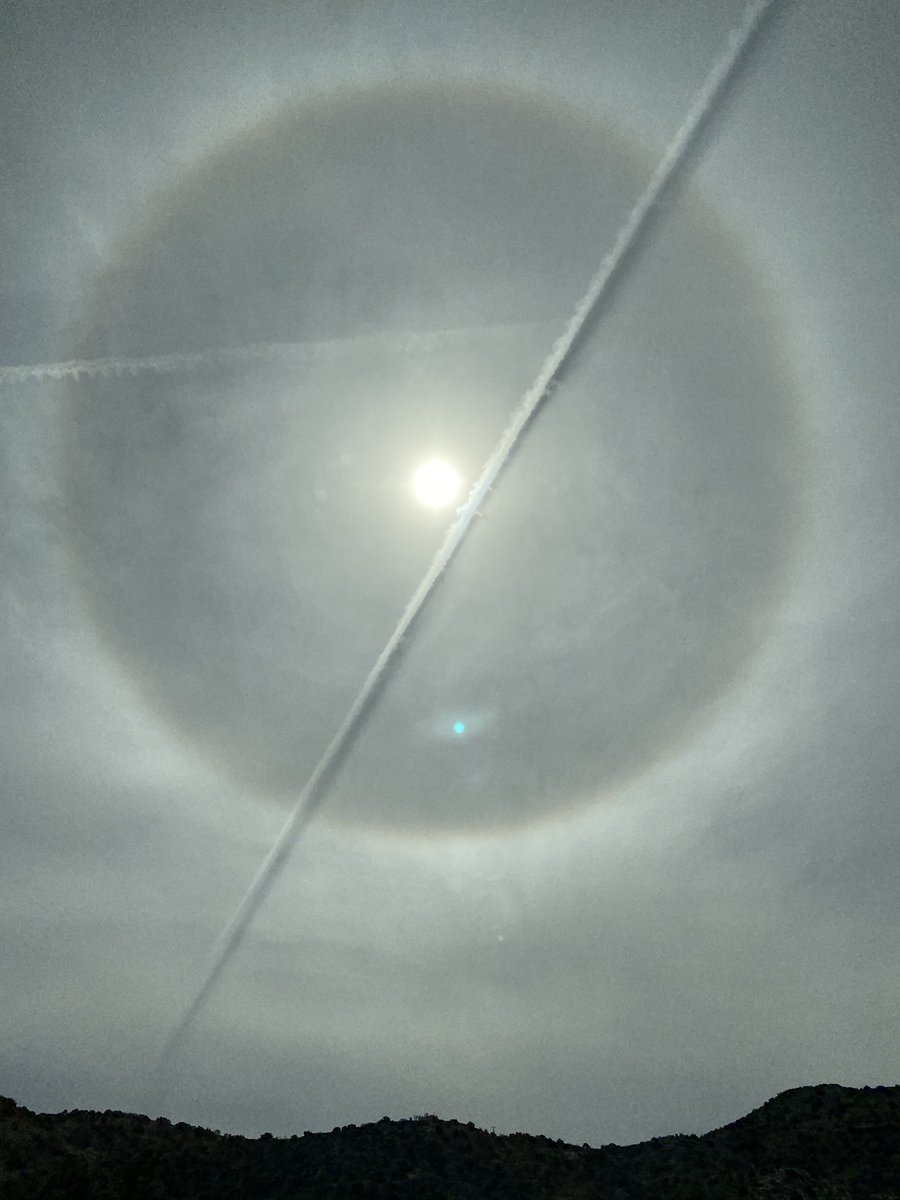 I downloaded Twitter back on my phone just to share my sun halo and vapor trail photo with you ❤️