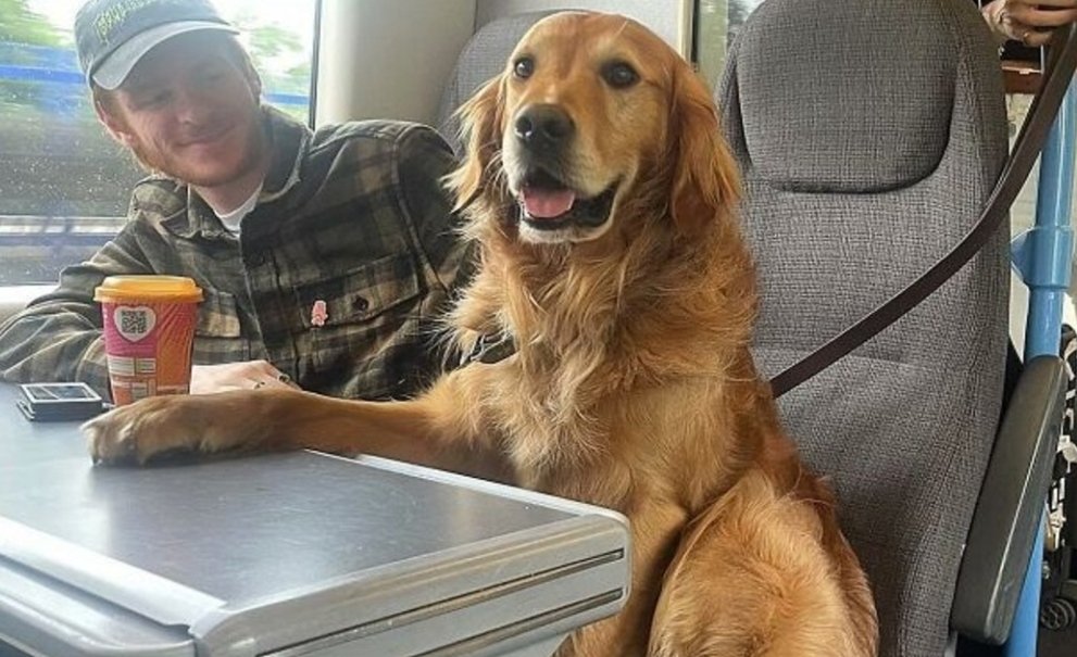 Nini_MacBright's tweet image. - Désolé Anne-Yvonne, mais la place est prise