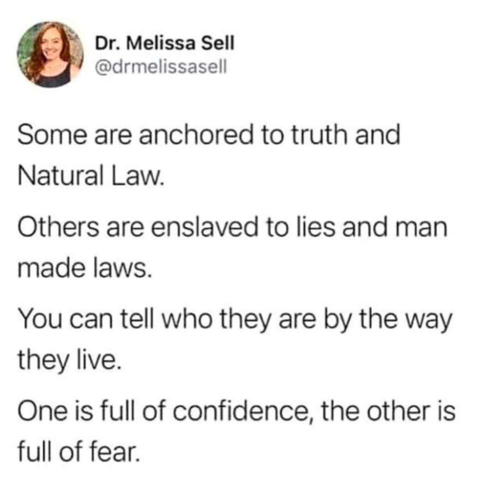 Wasn't able to verify but I'd agree with this statement.  God's law = Natural law.