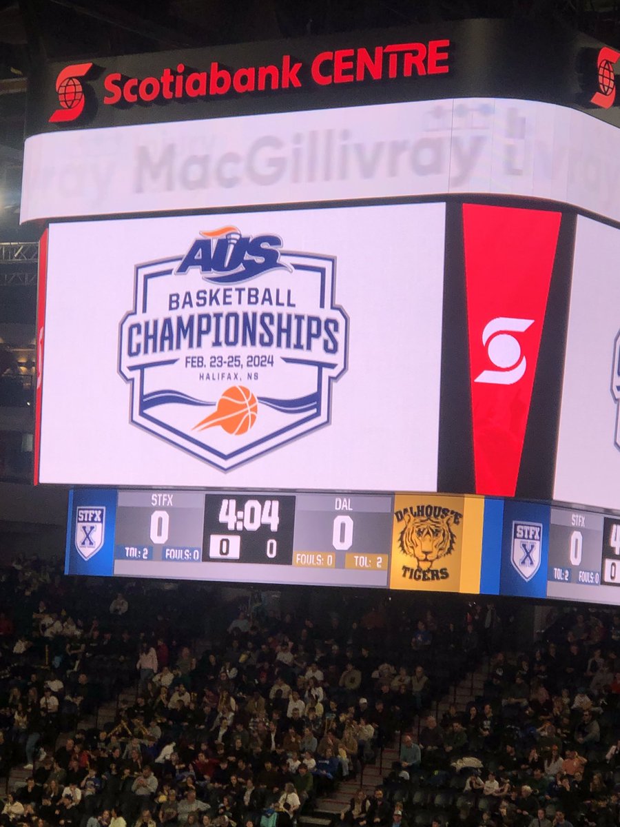 Turculet Group tweet media