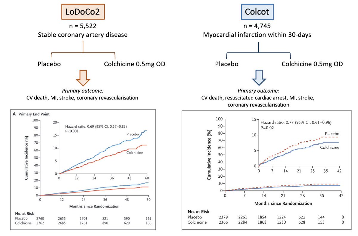 #Colchicine and residual #inflammation: an old drug with a new trick 💊 

An editorial for <a href="/BritishCardioSo/">British Cardiovascular Society</a> 👇
britishcardiovascularsociety.org/resources/edit…
#colcot #lodoco2 #ASCVD
