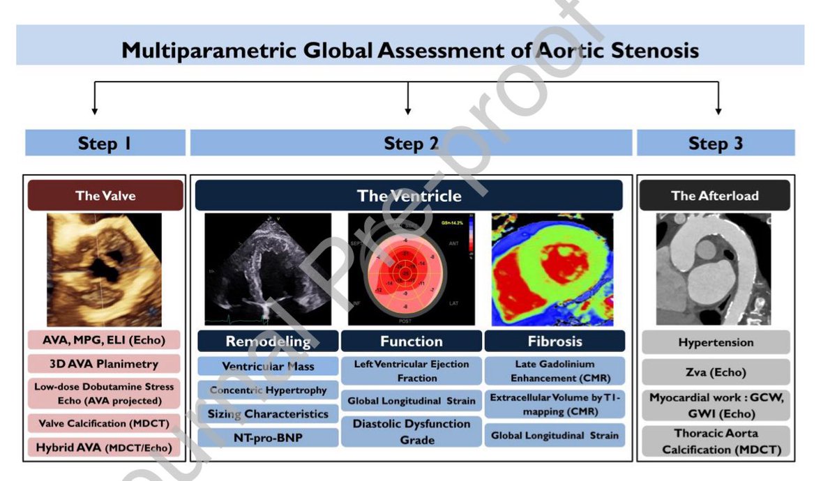Vasilis Kamperidis (@vkamperidis) on Twitter photo AS global evaluation: the Valve, the Ventricle, the afterload. #echofirst #yesccta #whycmr <a href="/T_Karamitsos/">Theodoros Karamitsos</a> <a href="/GGiannakoulas/">George Giannakoulas</a> <a href="/manthosdid/">Manthos Didagelos</a> <a href="/EACVIPresident/">EACVI President</a> <a href="/VDelgadoGarcia/">Victoria Delgado</a> AS global evaluation: the Valve, the Ventricle, the afterload. #echofirst #yesccta #whycmr <a href="/T_Karamitsos/">Theodoros Karamitsos</a> <a href="/GGiannakoulas/">George Giannakoulas</a> <a href="/manthosdid/">Manthos Didagelos</a> <a href="/EACVIPresident/">EACVI President</a> <a href="/VDelgadoGarcia/">Victoria Delgado</a>