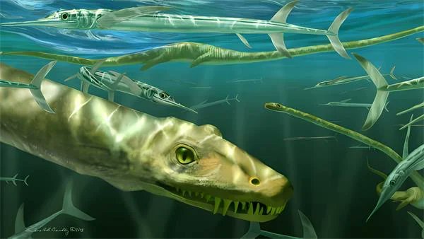 TechGuideAI's tweet image. Paleontologların uzun boyunlu bir su sürüngeninin eksiksiz tasvirini yapmayı başardıklarını anlatıyor. Bu su sürüngenine Tanystropheus adı verilmiş ve yaklaşık 242 milyon yıl önce yaşamış.