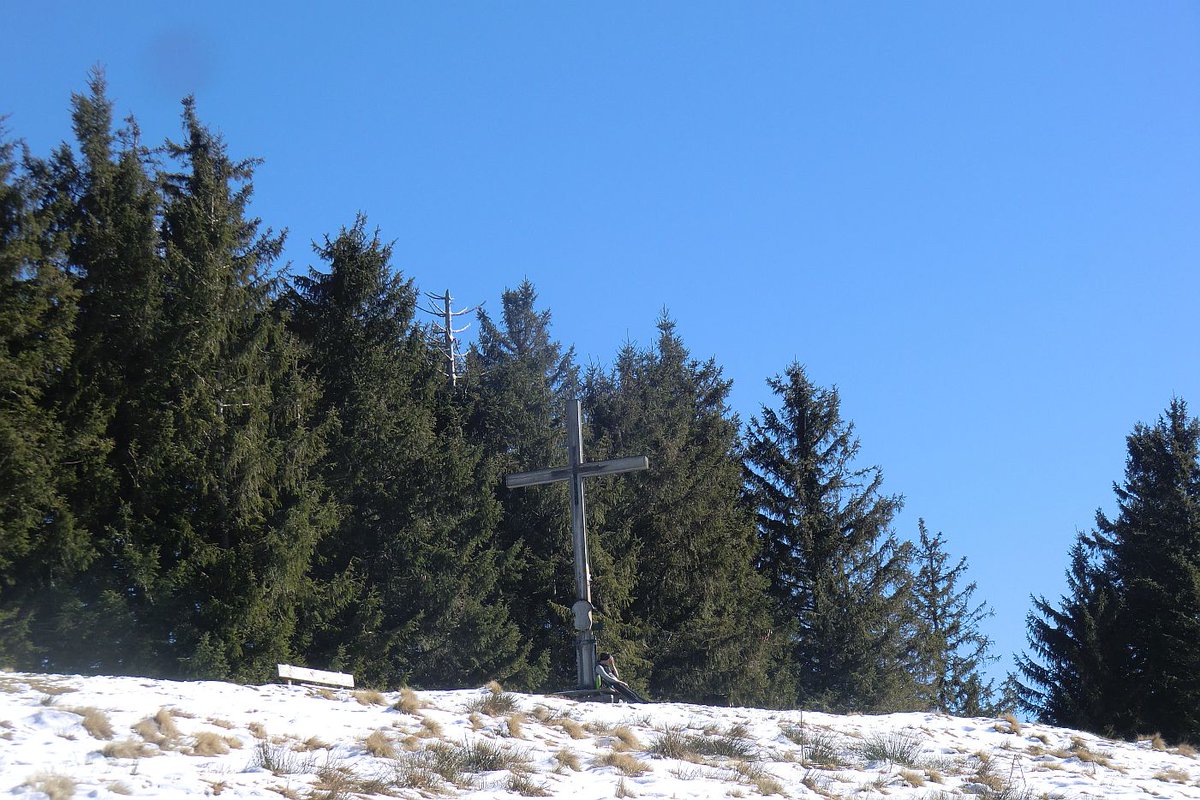 Wandervolles Wochenende Samstag: Heiglkopf 1218m 540Hm 6,4km 2h20, Sonntag: Stallauer Eck 1215m, Stallauer Köpfl 1322m, Zwiesel 1348m 9km 4h30