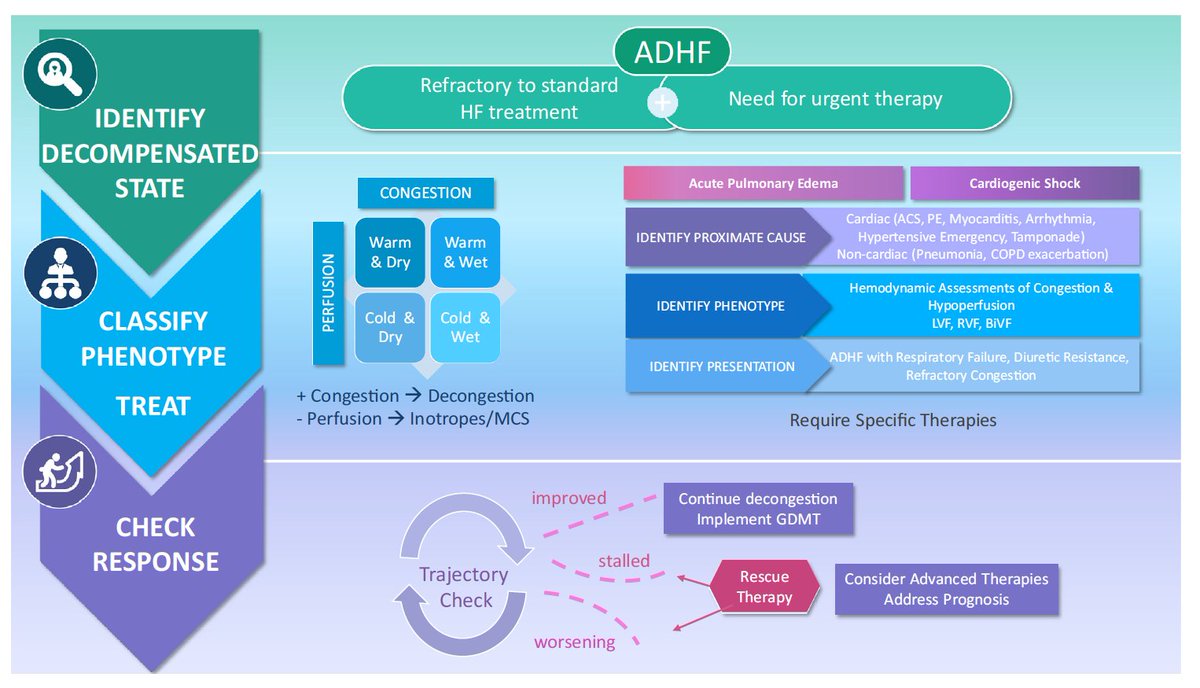 What a fantastic approach to a standardized definition of ADHF. J Am Coll Cardiol HF 2024;12:1–15