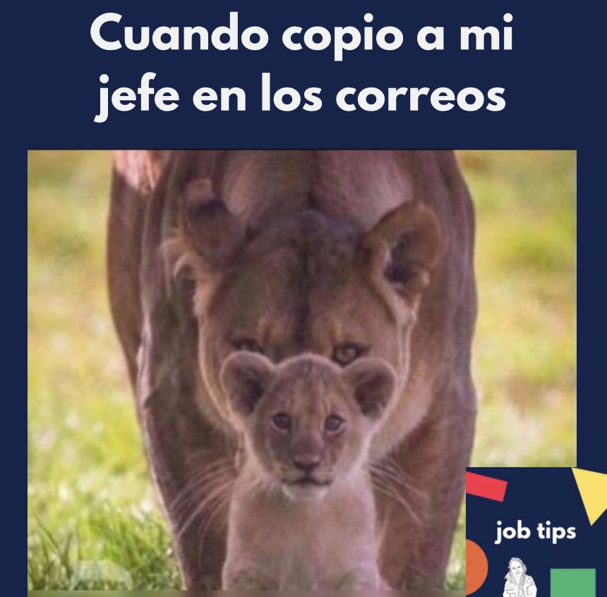 jobtips_ (@jobtips_) on Twitter photo 