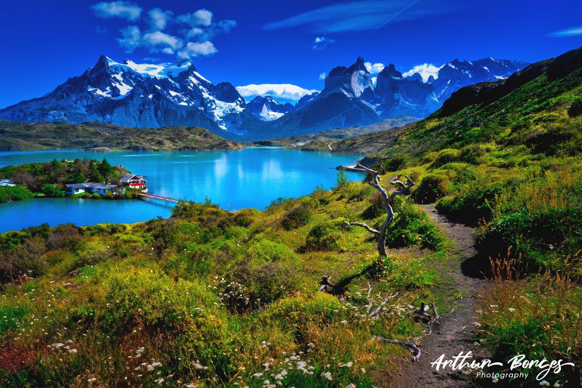 arthurcborgesjr's tweet photo. Mountain views

 #TorresDelPaine #PatagoniaPhotography #MountainMagic #ChileanWilderness #SunriseSerenity #LakesideViews #HikingAdventures #ExploreChile #NaturePhotography #PuertoNatales https://t.co/uZqudcJbnB