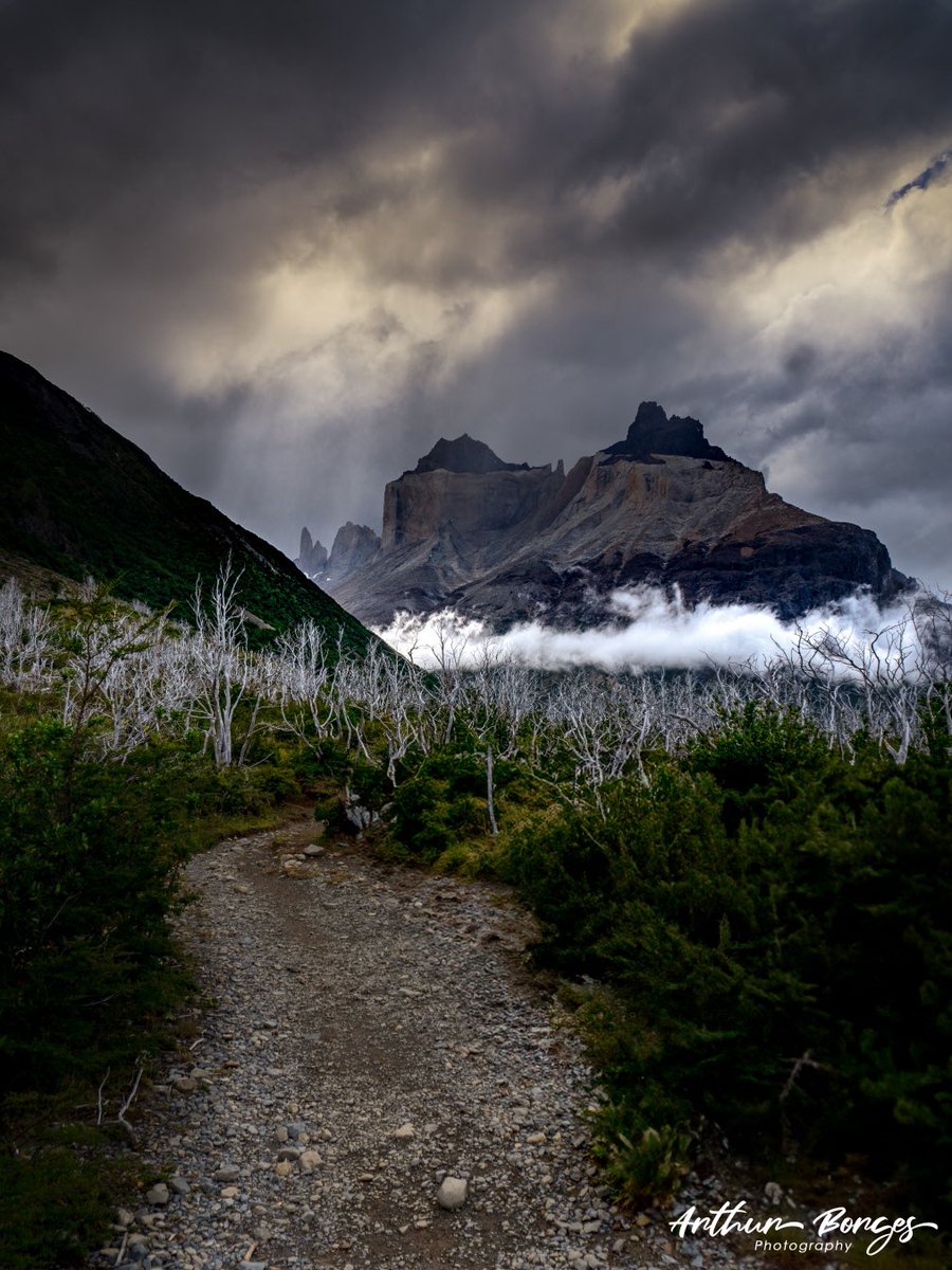 The afternoon light

 #TorresDelPaine #PatagoniaPhotography #MountainMagic #ChileanWilderness #SunriseSerenity #LakesideViews #HikingAdventures #ExploreChile #NaturePhotography #PuertoNatales