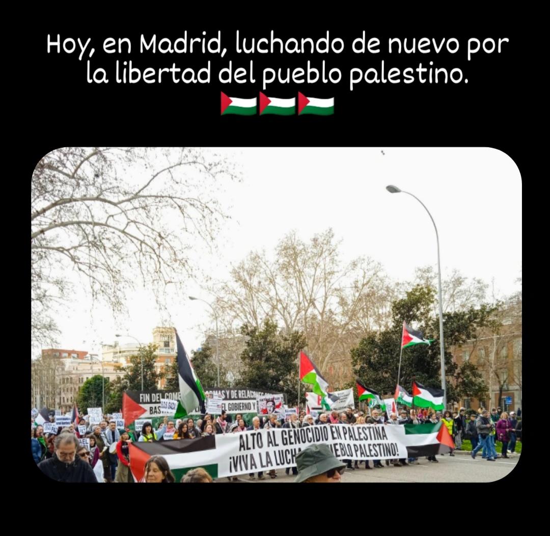 ¡Gaza, aguanta, Madrid se levanta!

#SiempreConLaResistenciaPalestina
#IsraelGenocida
#StopGenocidio
