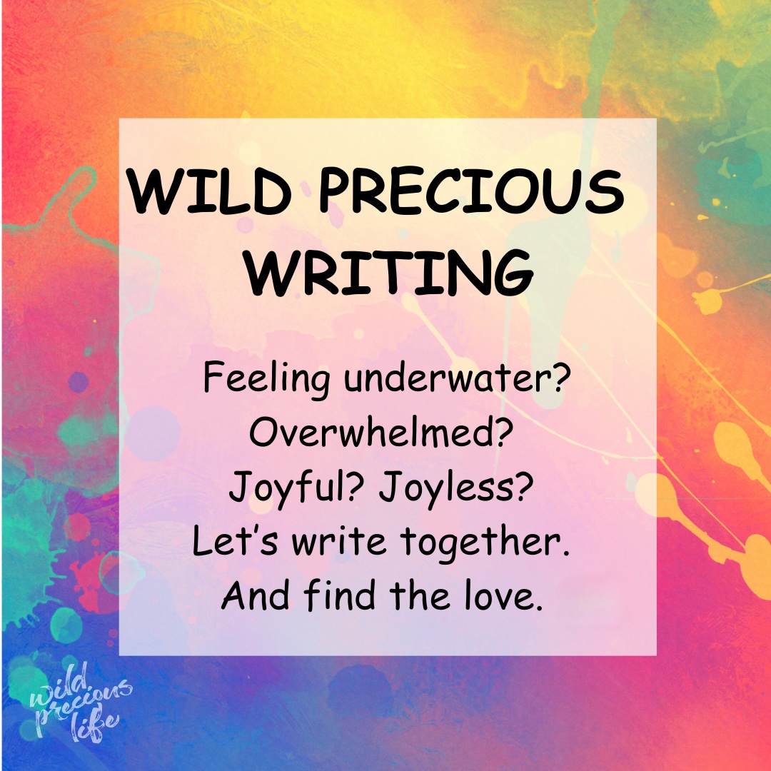 Come write with us! In one heart-filled hour, we put pens on the page & move past ego & self-doubt & voices that tell us we’re not enough. We create together, honor stories, & share the truth that only surfaces when we get out of our own way. Sign up here: forms.gle/jErigi3EuyP34E…