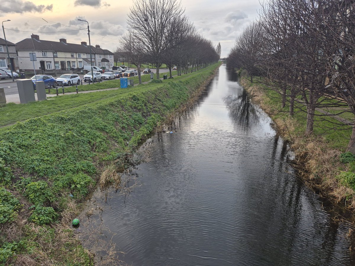 WebDev Alera tweet media