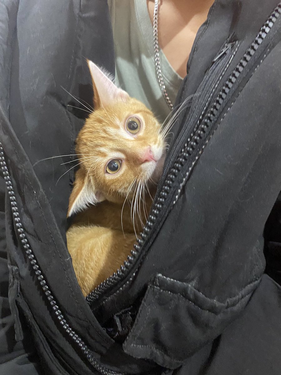 Jerrynku kéž by jsi se vrátil, nevědět kde jsi a jestli jsi ještě naživu je to nejhorší😔🤍