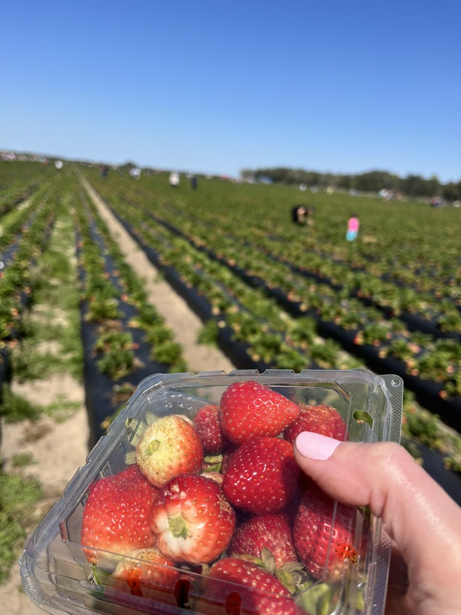 AALP Class tweet media