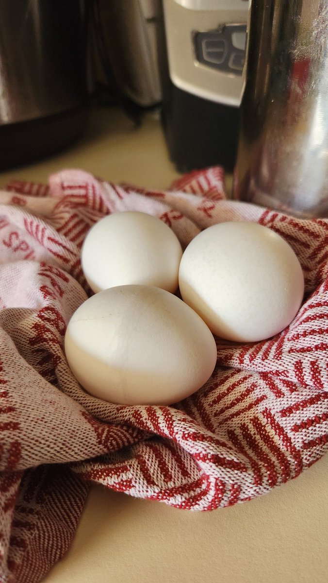 I almost messed up and started cleaning the kitchen when I went in there to put a glass in the sink while I'm in middle of finishing up a project. ADHD is fun.