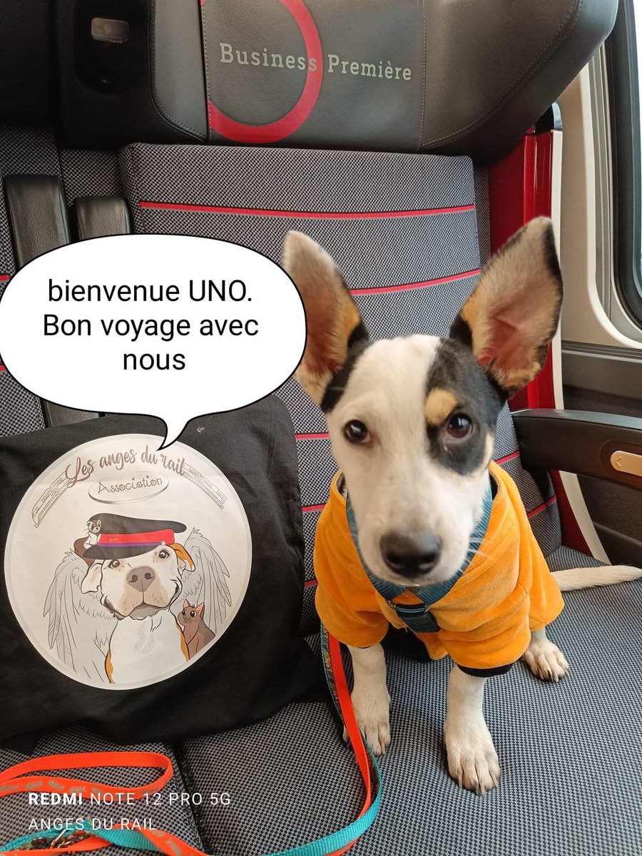 Association Les Anges du Rail (@lesangesdurail) on Twitter photo 