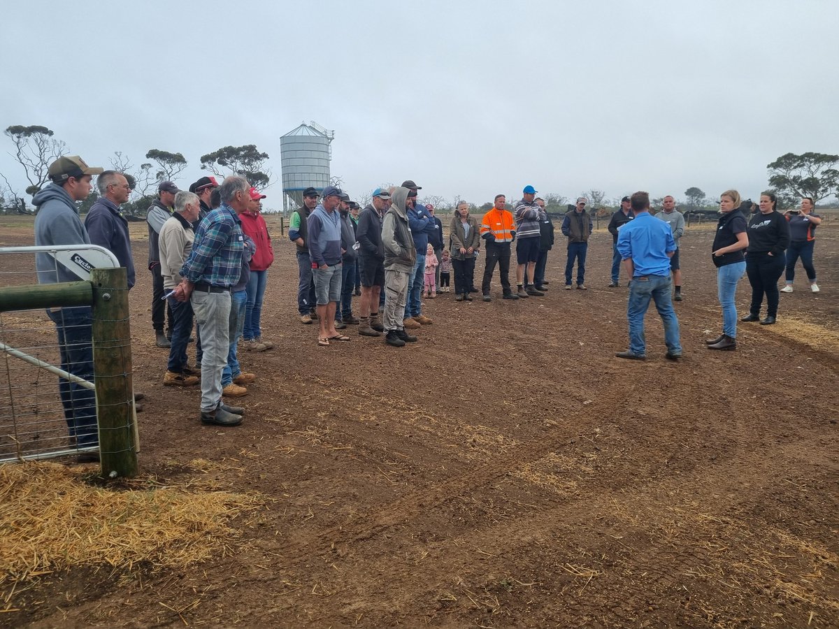 Kangaroo Island Containment Feeding Sticky Beak Day, great cost effective ideas for #feeding and #water. <a href="/woolinnovation/">Australian Wool Innovation</a> <a href="/Livestock_SA/">Livestock SA</a> <a href="/SADroughtHub/">SA Drought Resilience Adoption and Innovation Hub</a> #agki