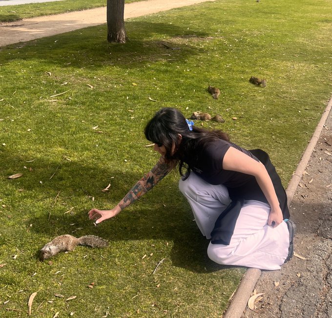 this Pokemon Go update goes hard https://t.co/k8xQTmTo7j