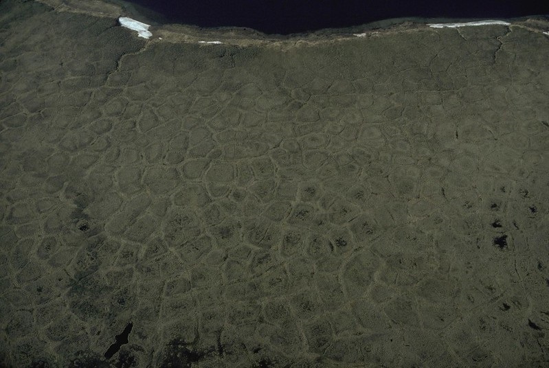 Modelling the role of polygonal terrain for mapping arctic water movement doi.org/10.1016/j.rse.… <a href="/NWF_Research/">Northern Water Futures</a> <a href="/GWF_pubs/">Global Water Futures Publications</a>