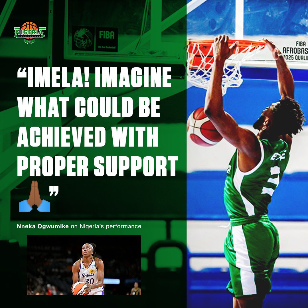 WNBA Star Nneka Ogwumike chimes in