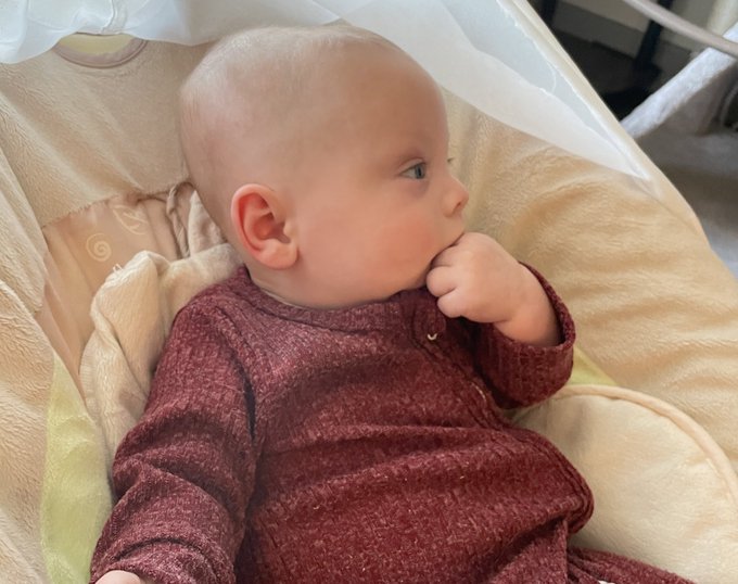 Jack gets fully invested in his stories plot turns. https://t.co/kebmNBrjNX<a href="/tag/caturday"class="tags"><span>#caturday</span></a>