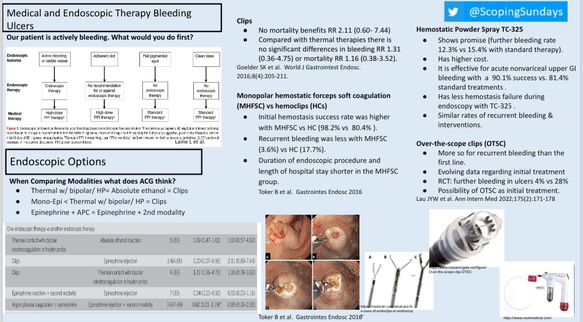 #ScopingSundays tweet media