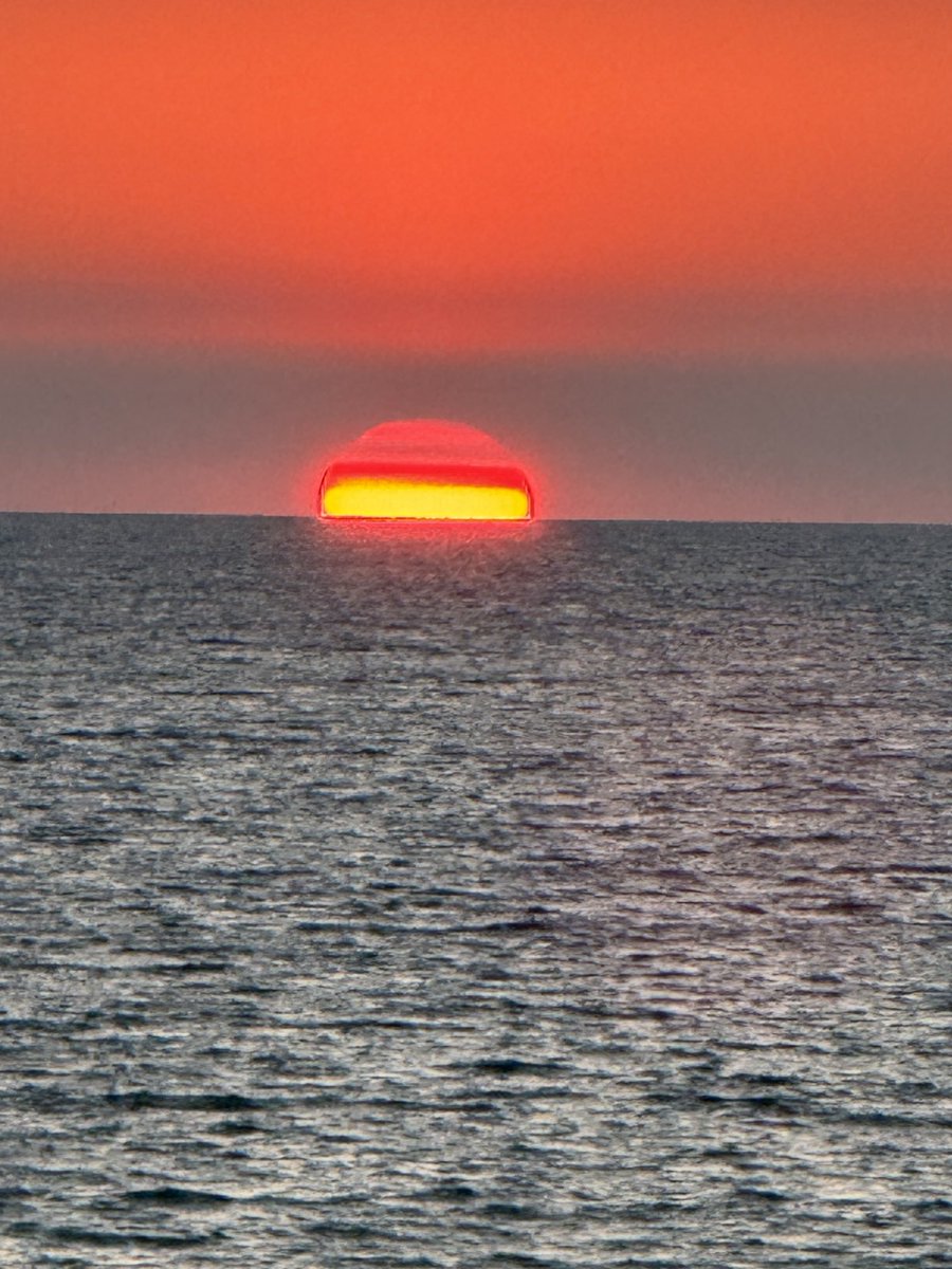 Beautiful Short Vaca!