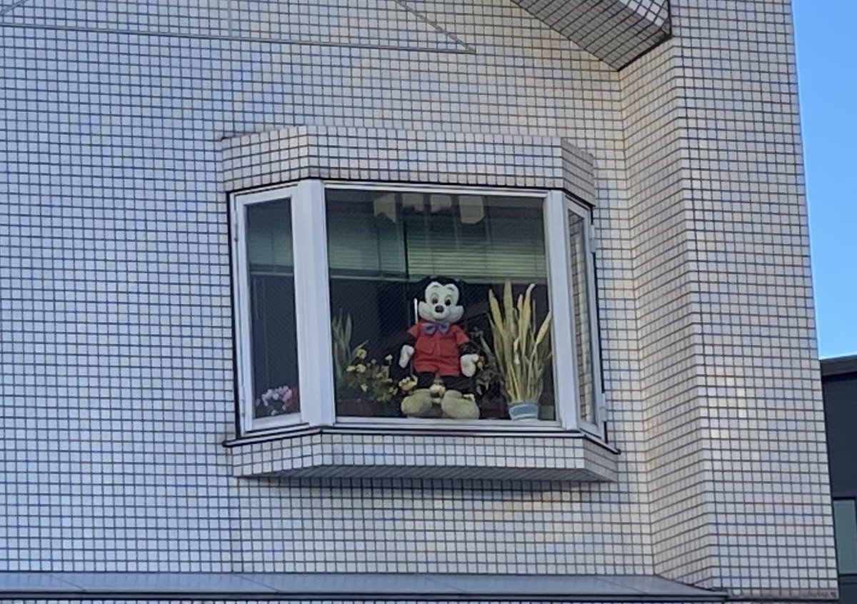 めがうごくぬいぐるみ ぬいぐるみ タイニーヘッドキングダム [Sサイズ] | おもちゃ