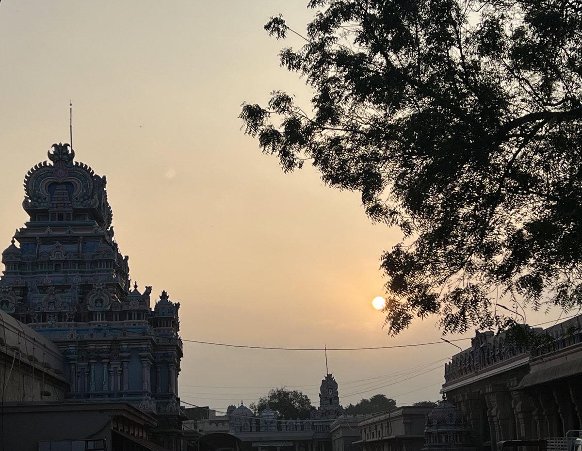 Journey with Jogu tweet media