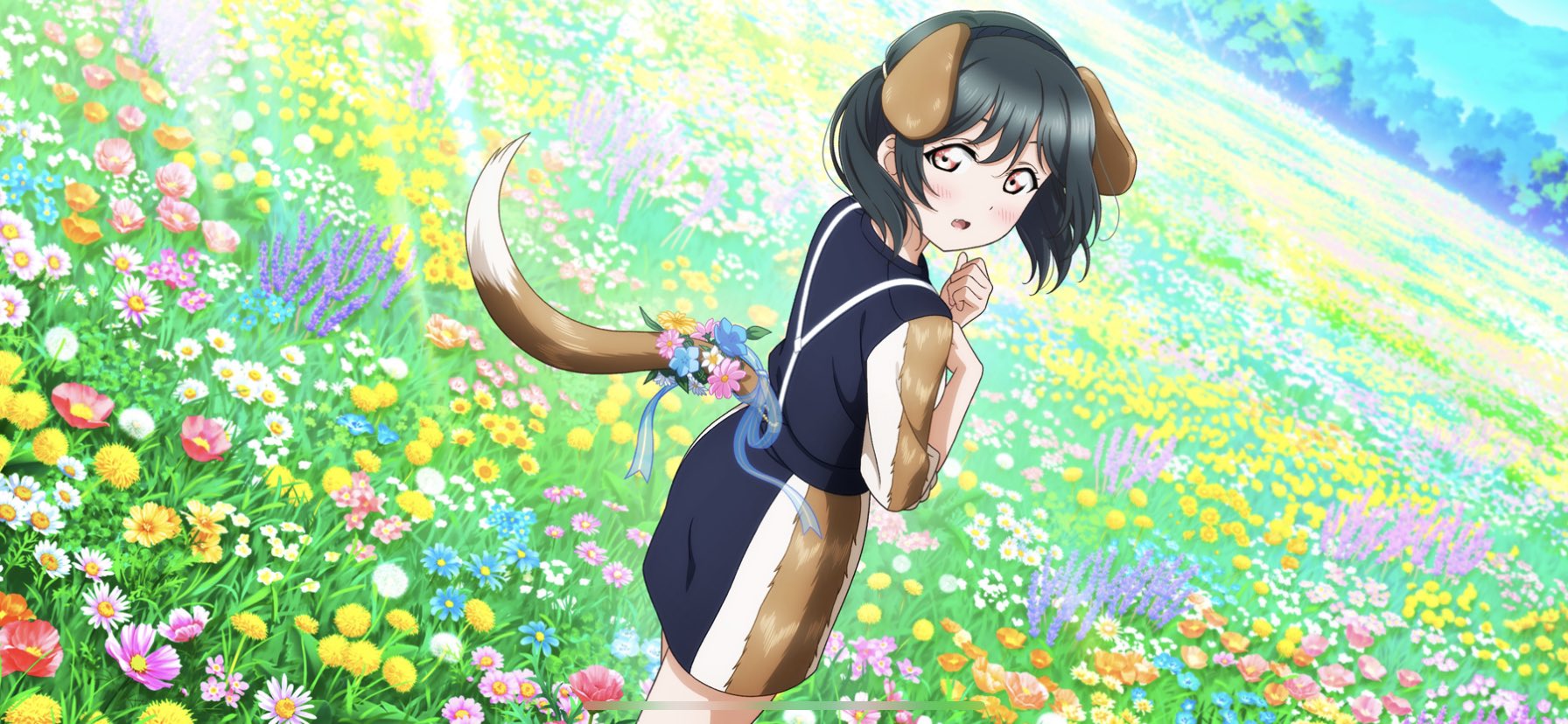 わんこです(´◡` )♩ ぼす على X: 