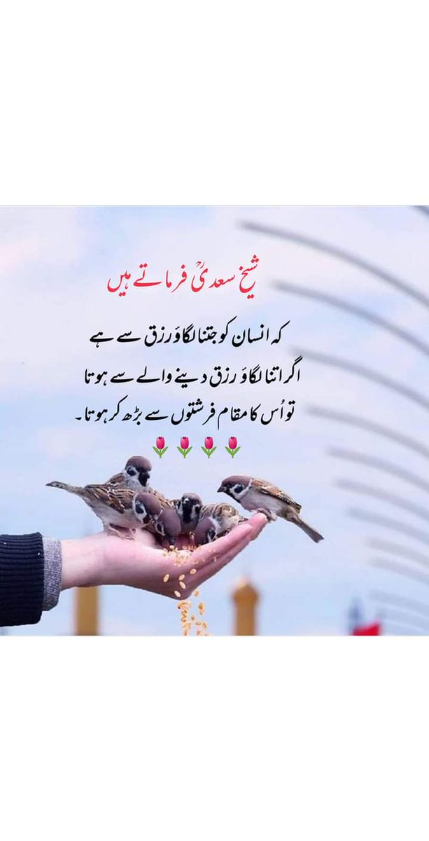 اللّه پاک ہم سب کو معاف کر ے 🙏
امین 👏
#النصر_الشباب #FRAITA #훨훨날아가자_승관이의_민들레 
#Shab_e_Barat