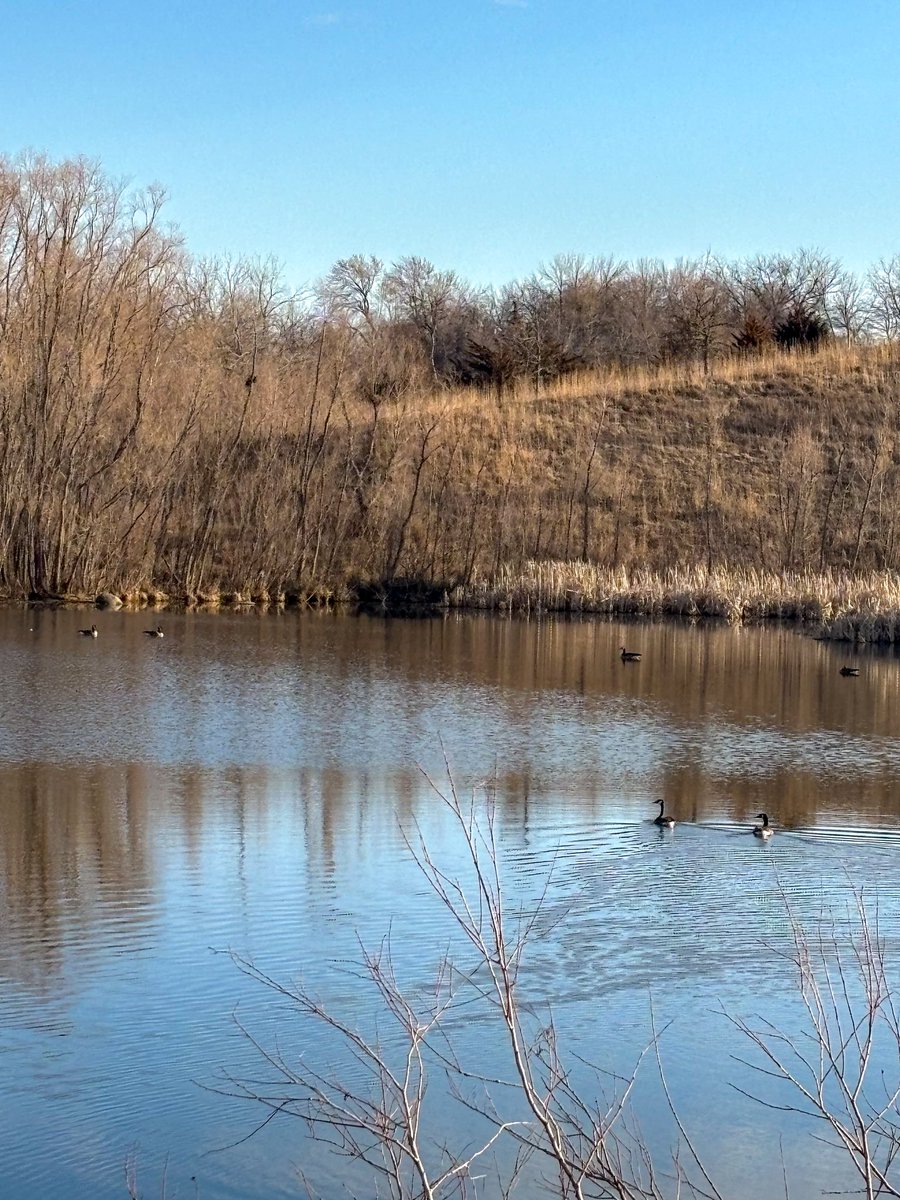 lifefitnessfile's tweet photo. 🏃Thankful to get in some late afternoon miles
Tempted to say it was almost a perfect temperature
I overdid it a little coming off the heels of being sick but … that’s bound to happen on a beautiful day in February
#running #runningoutside #nature
Video Links below 👇 https://t.co/38hL21NJM8