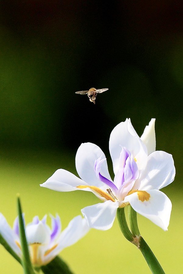 Шинэ 7 хоногийн мэнд

Энэ 7 хоногт өндөр жилийн 29 тохиож, 3 сар айлчлан ирнэ. Амжилт хүсье!
