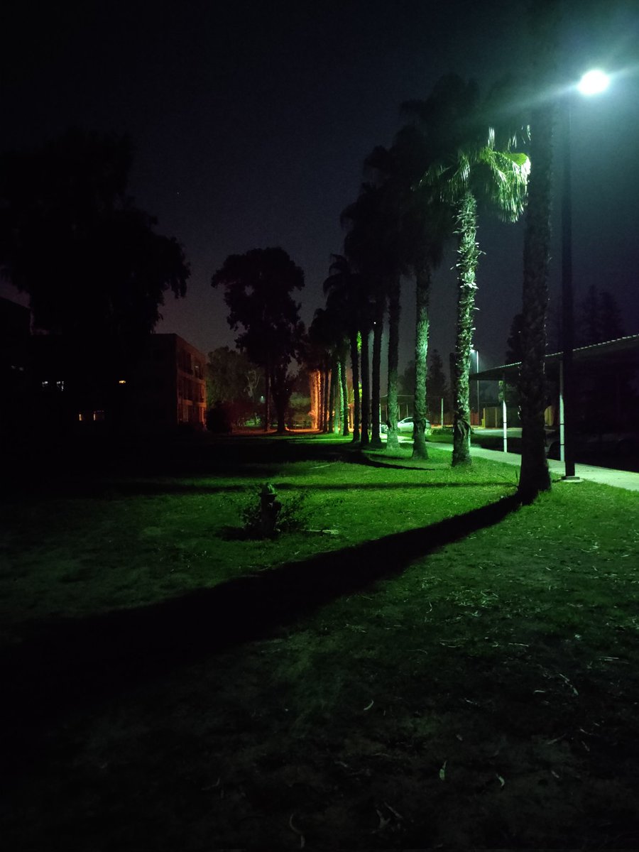 AmrMans113's tweet photo. Vibes 🦅 https://t.co/r9FD4DZ3EB