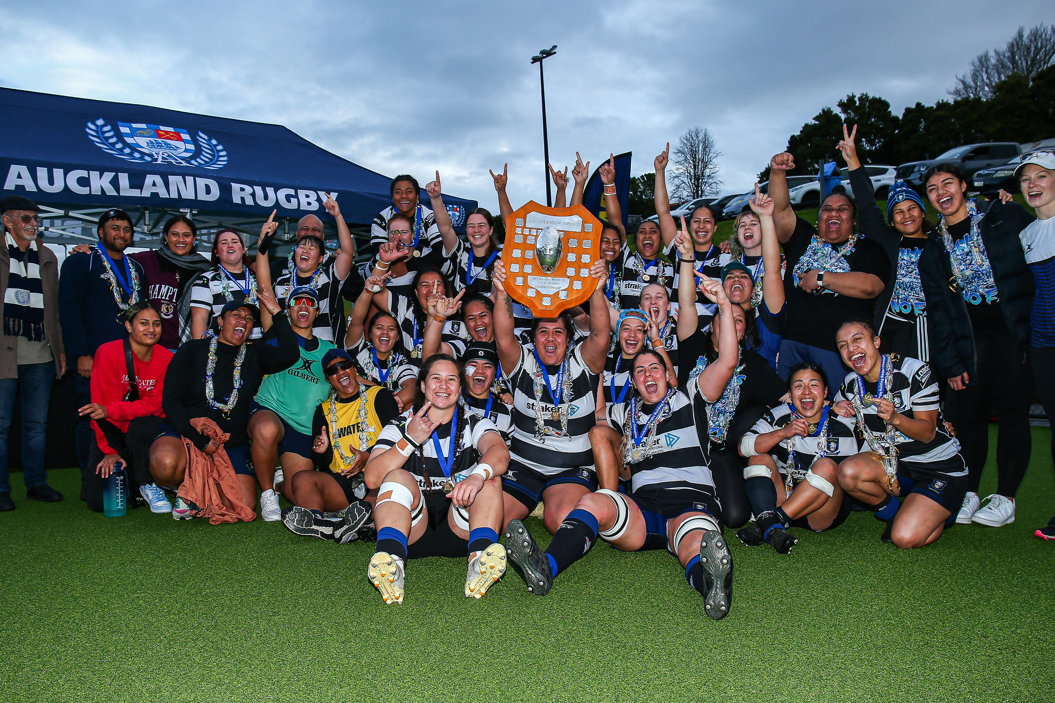Rugby auckland online