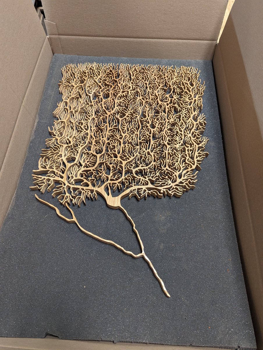 Please send me good vibes as I attempt to ship this purkinje #neuron..
 😱🙈🙈