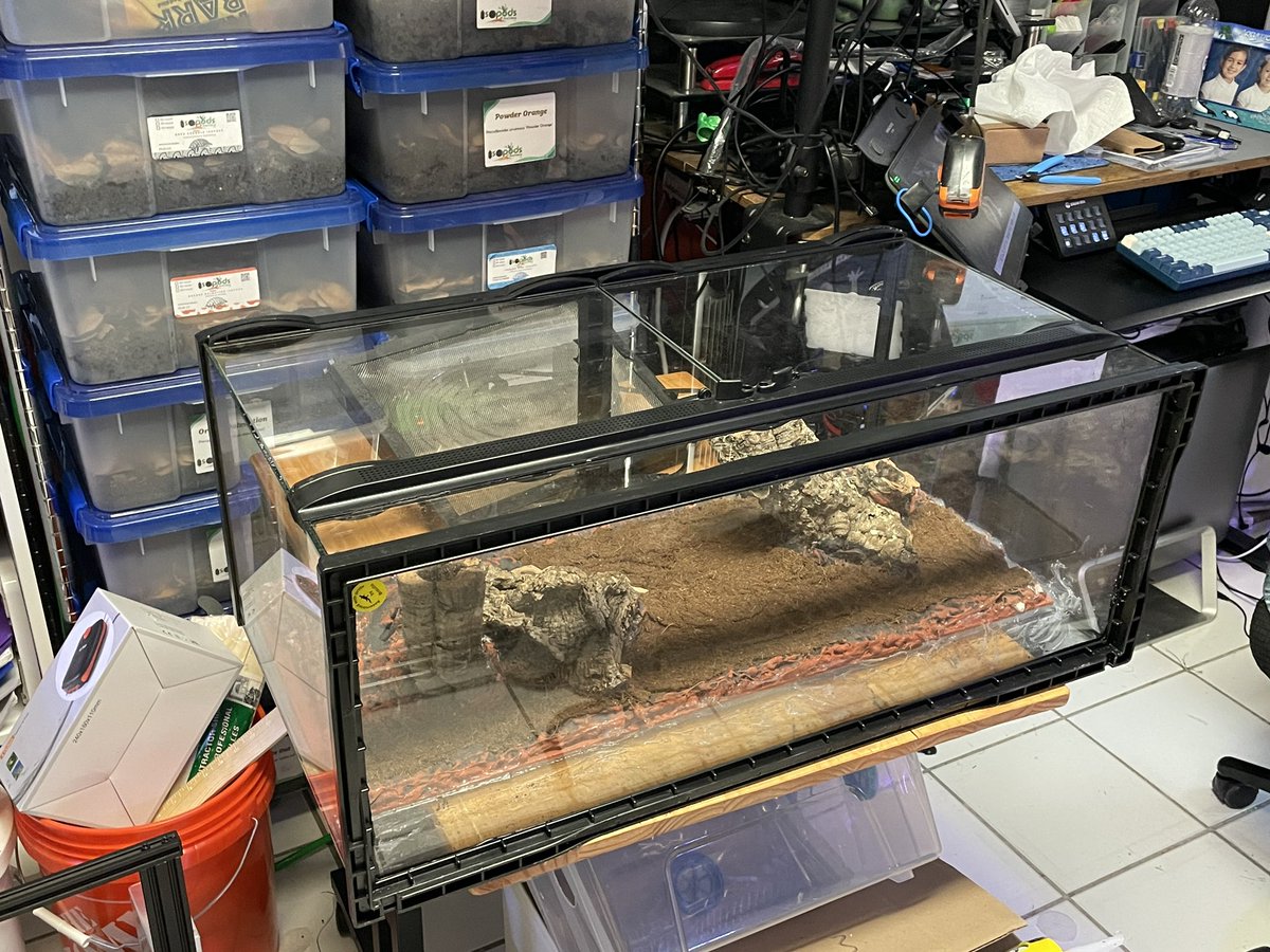 IsopodsAndMore's tweet image. Mounted the custom background in a Zoo Med 30x12x16 Terrarium. #livebioactive #isopodhabitat #isopods #dartfrogs