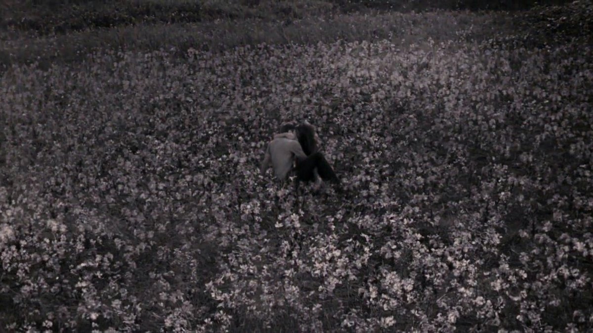 archivetwilight's tweet photo. me watching this scene for the thousandth time and crying like was the first time https://t.co/s2cNQNsLKw