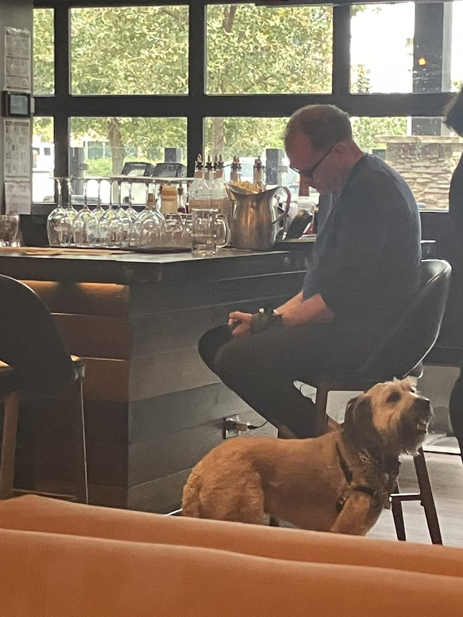 San Diego Josh ☀️🌴🚲 tweet media