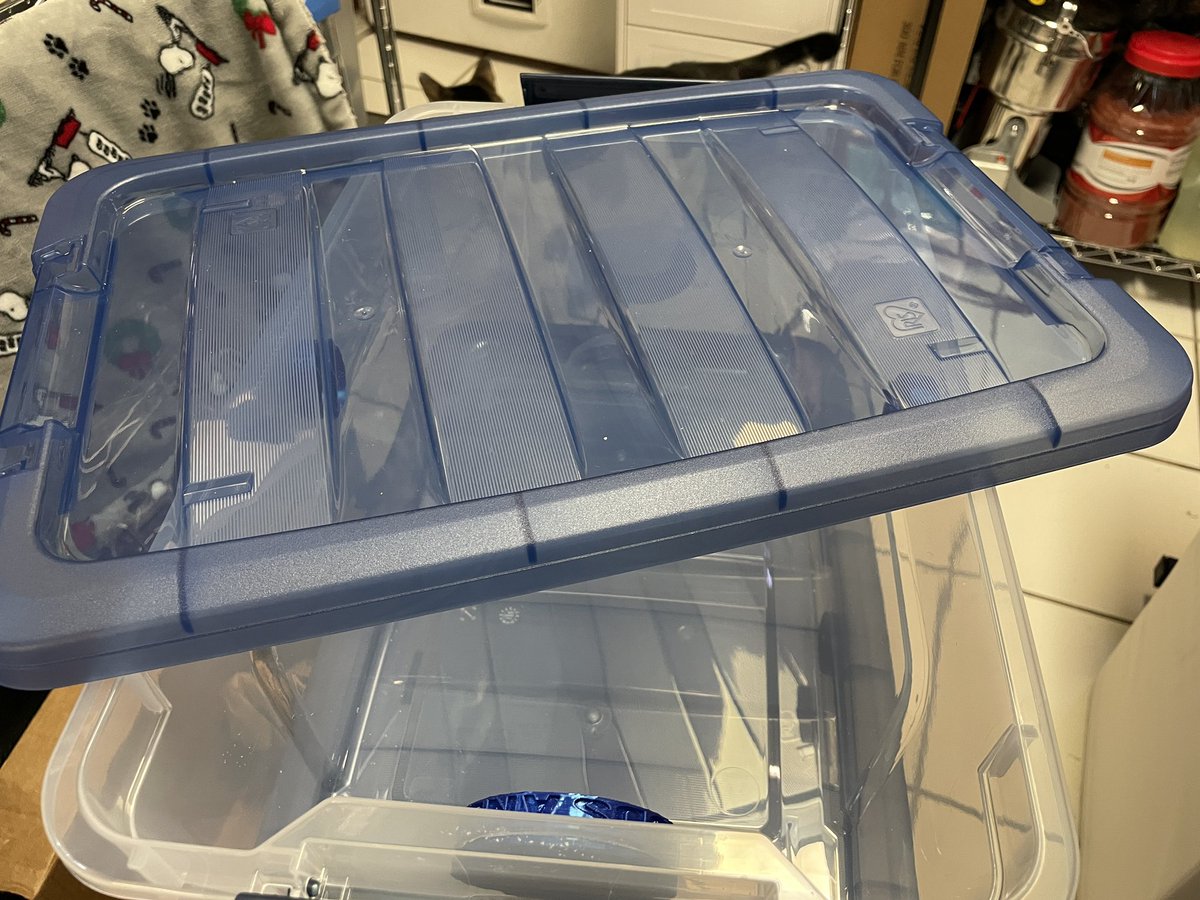 IsopodsAndMore's tweet image. New Blue Isopods Bins now Available

#isopods #isopodbins #livebioactive #isopodsandmore