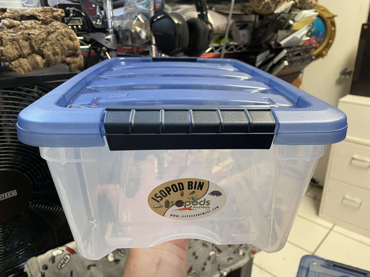 IsopodsAndMore's tweet image. New Blue Isopods Bins now Available

#isopods #isopodbins #livebioactive #isopodsandmore