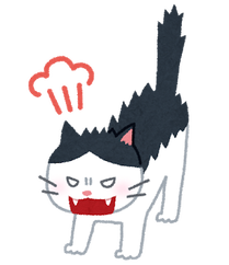 mofful2's tweet photo. 【名作コピペ】猫の喧嘩ですけど、ニャーニャーなんて声出さないよ https://t.co/3Y8OlmY4JE https://t.co/zGHr5FWAXQ