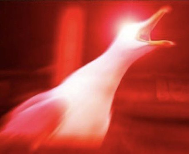 FastestPitStop's tweet image. 🚨 IT’S RACE WEEK 🚨

And it’s on a Saturday 😉

#F1 #BahrainGP