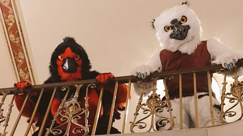 BadaZebra's tweet image. Heard you were talkin' shit. 

🟥: @badazebra
⬜: @Shadowquine 
🧵: @Wolfbird_NLCC 
📸: some chicken named food

#FurSquared