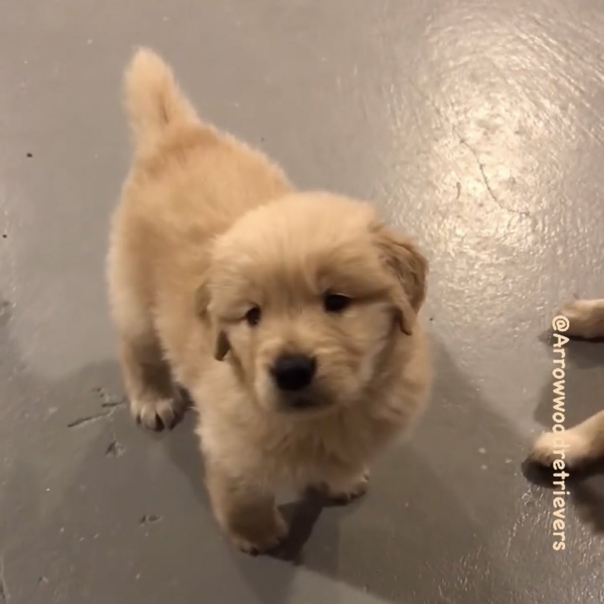 takemybear 🐶 tweet media