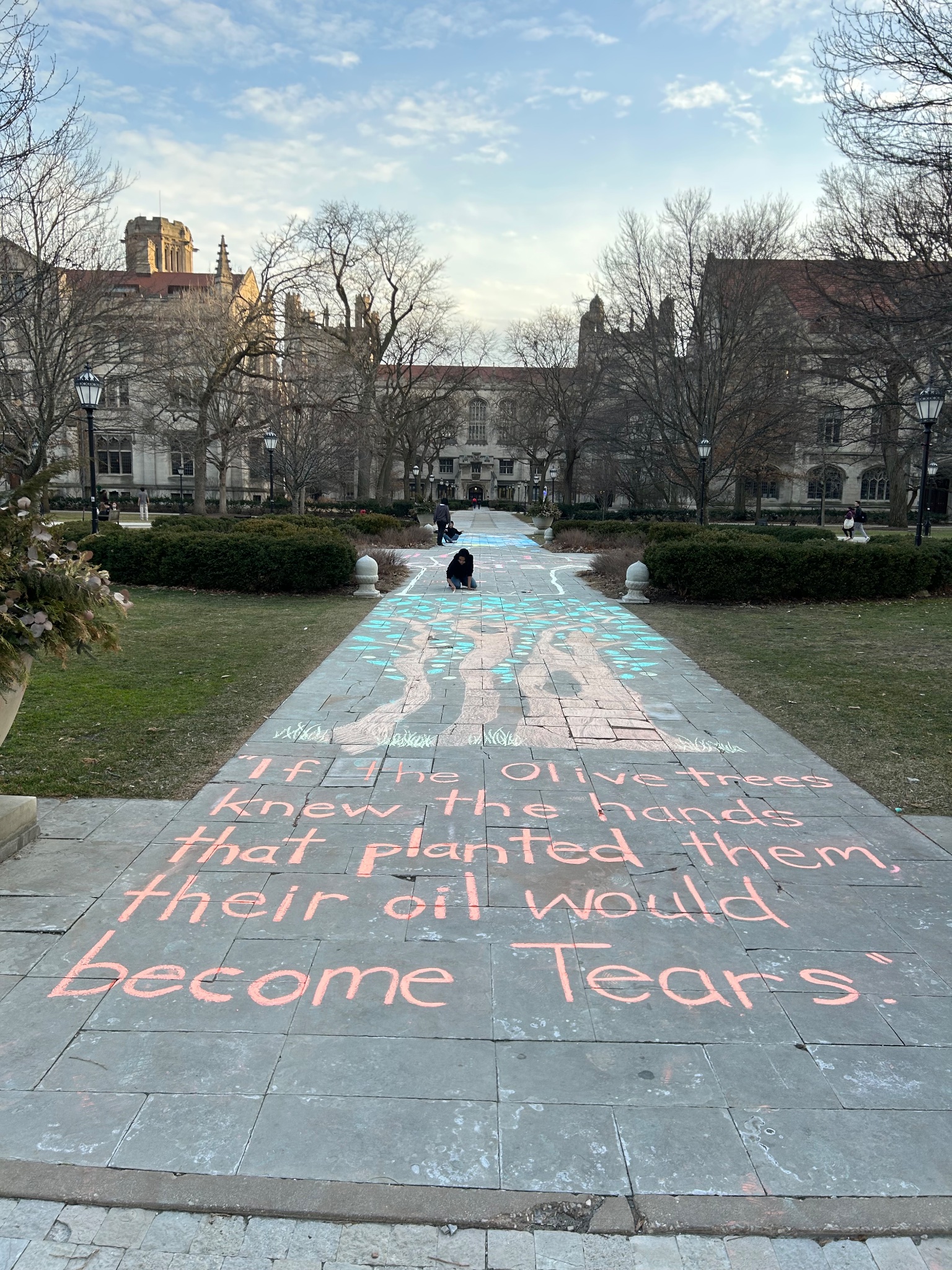 Chalk uchicago on sale