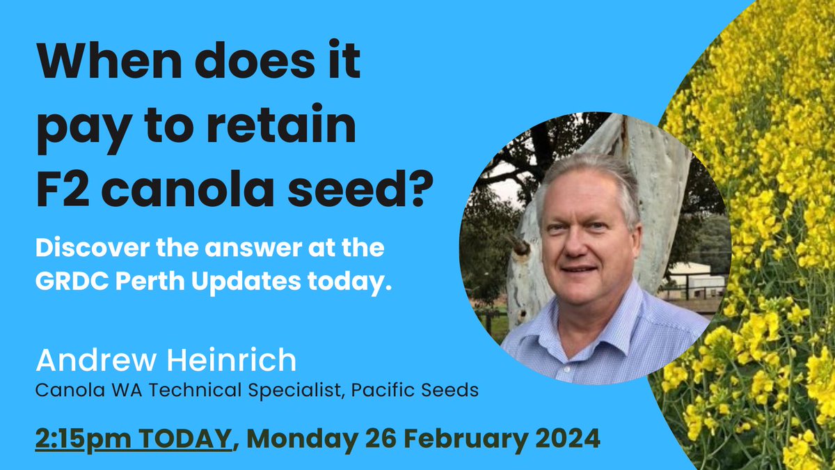 PacificSeeds's tweet photo. Got questions about retained canola seed? WA Canola Technical Specialist Andrew Heinrich will be presenting the answers and new data findings at the @GRDCWest Perth Updates today at 2:15pm. #grdcwest #grdcperth #pacificseeds #canola https://t.co/4qMO4BkAAh