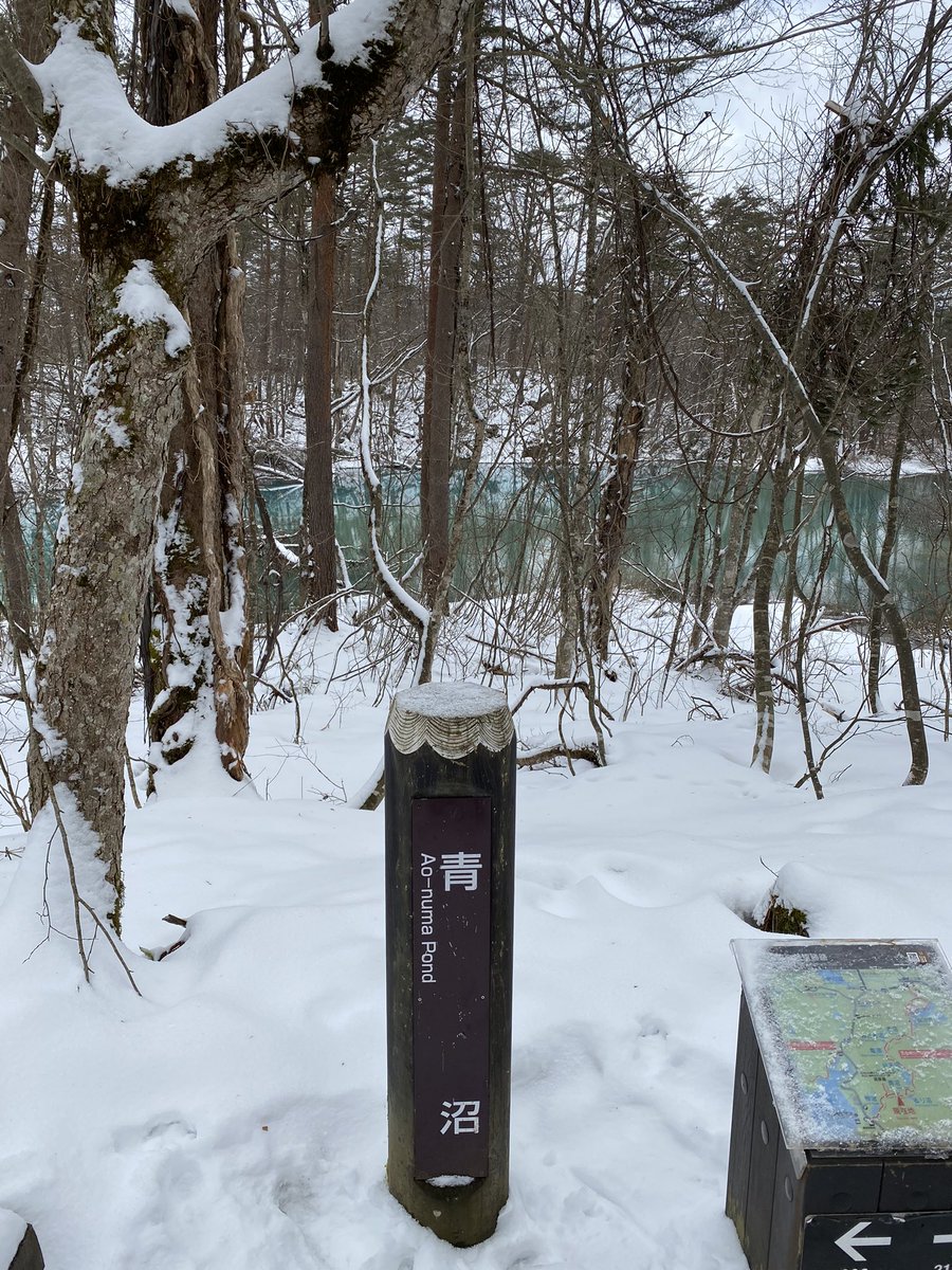 heedeath13th's tweet photo. 連休中の東北遠征が楽しすぎて…通常勤務がつらすぎる…
#蔵王　#五色沼 https://t.co/fTikFTa5KO